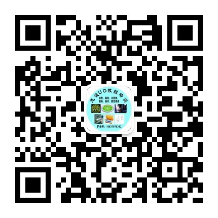 洛陽ug培訓.jpg